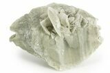 Selenite Crystal - Box Elder County, Utah #369275-1